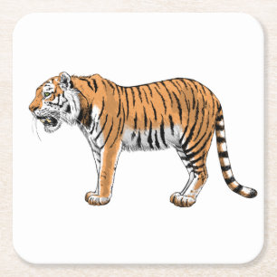 Tiger Underlägg Papper Kvadrat
