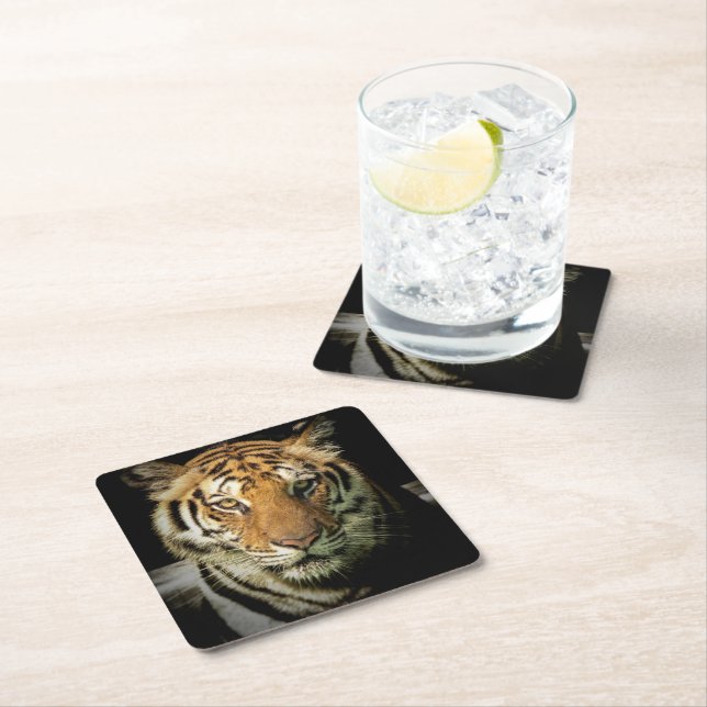 tiger underlägg papper kvadrat (Insitu)