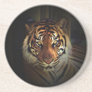 Tiger Underlägg Sandsten