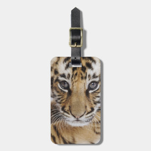 Tiger Unge Bagagebricka