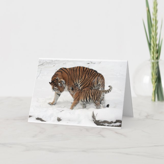 Tiger & unge för pappa för grattis på kort (Framsida)
