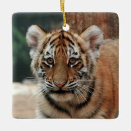 Tiger Unge Ornament