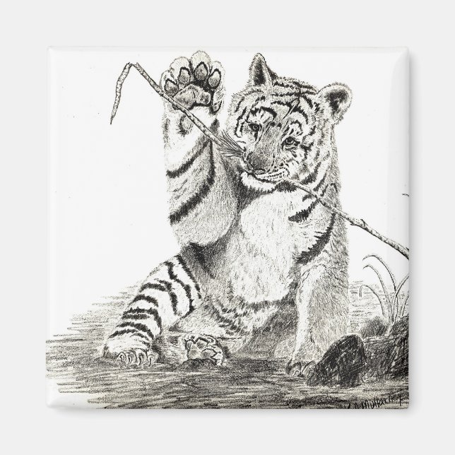 Tiger unge spelar magnet (Framsidan)
