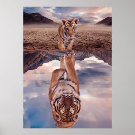 Tiger unge tittar reflektionen av en vuxen tiger poster