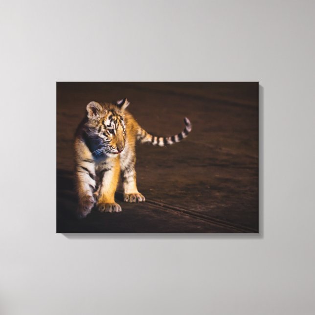 Tiger Unge Walking Canvastryck (Framsida)