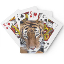 Tiger - Uppspelningskort för cyklar