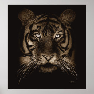 Tiger-utskrift Poster