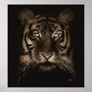 Tiger-utskrift Poster