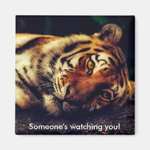 Tiger vaktar dig magnet