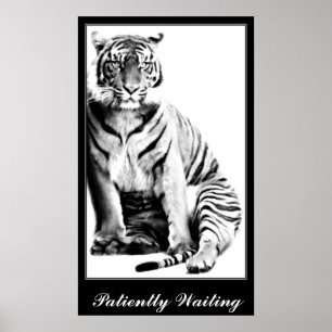 Tiger, Väntar_ Poster