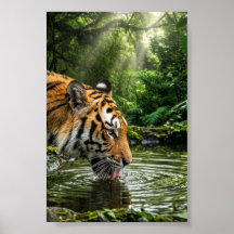 Tiger vid Jungle Pool Wildlife Matta Vägg Poster