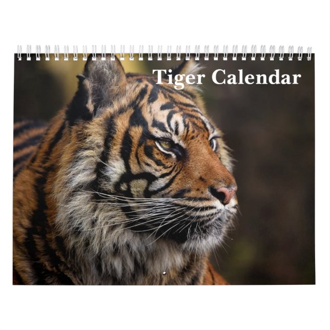 Tiger Vild Animal 2025 Kalender (Omslag)
