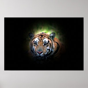 Tiger - Vild Big Cat Poster