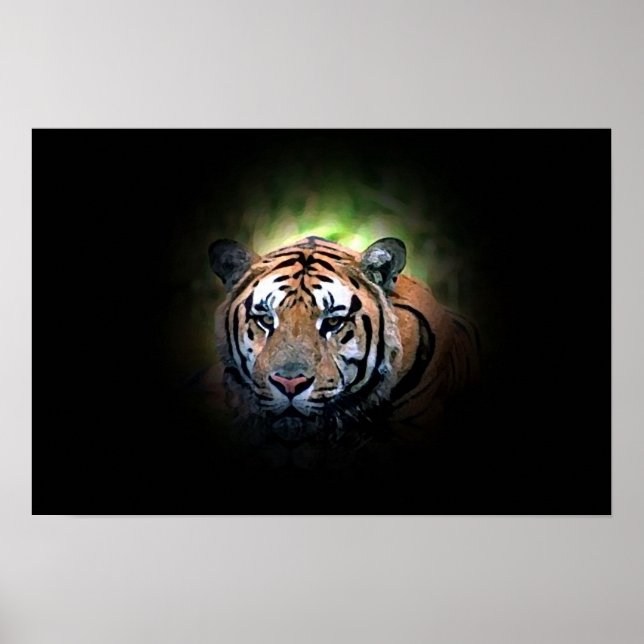 Tiger - Vild Big Cat Poster (Framsidan)