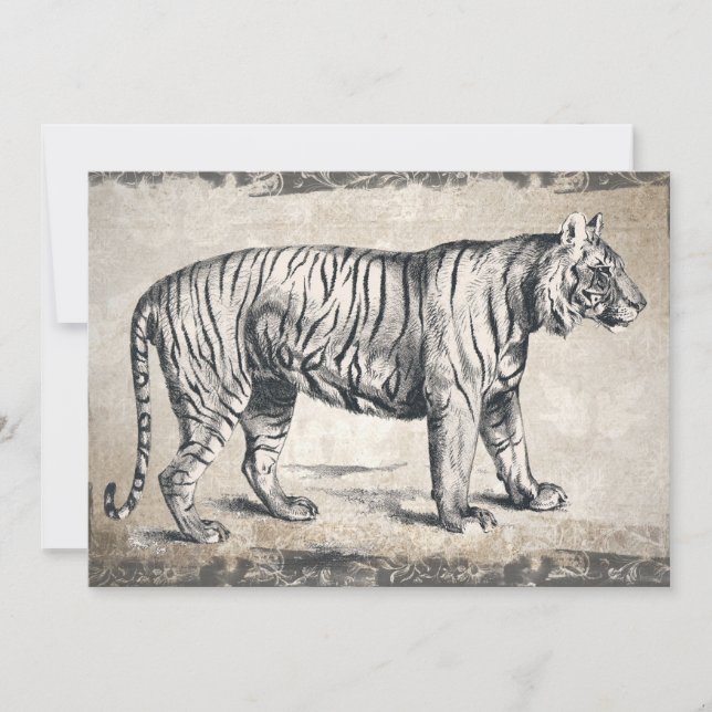 Tiger Vintage Wildlife Grunge Decorative (Framsida)