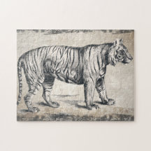 Tiger Vintage Wildlife Grunge Decorative