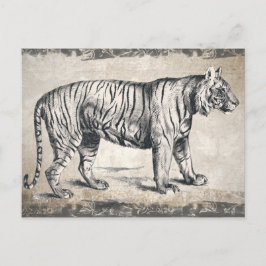 Tiger Vintage Wildlife Grunge Decorative Vykort