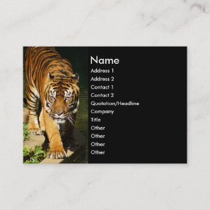 tiger visitkort