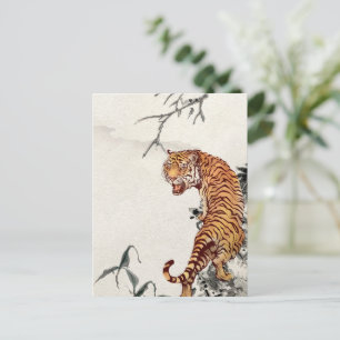 Tiger vykort