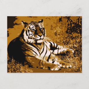 Tiger Vykort