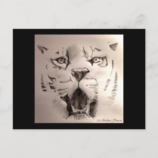 Tiger Vykort