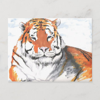 Tiger Vykort