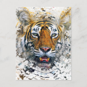 Tiger Vykort