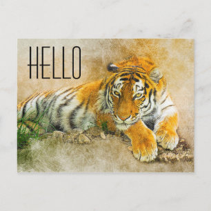 Tiger Vykort