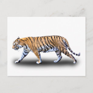 TIGER WALK VYKORT