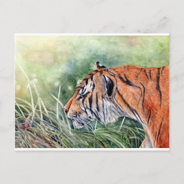 Tiger Walking through Jungle Vykort (Framsida)