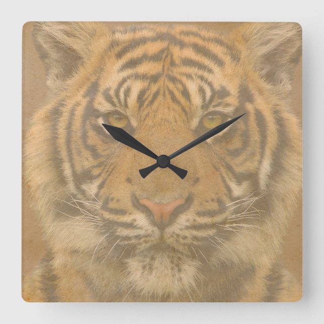 Tiger Wall Clock Fyrkantig Klocka (Framsida)