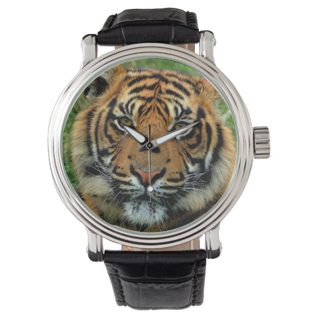 Tiger Watch Armbandsur (Framsida)