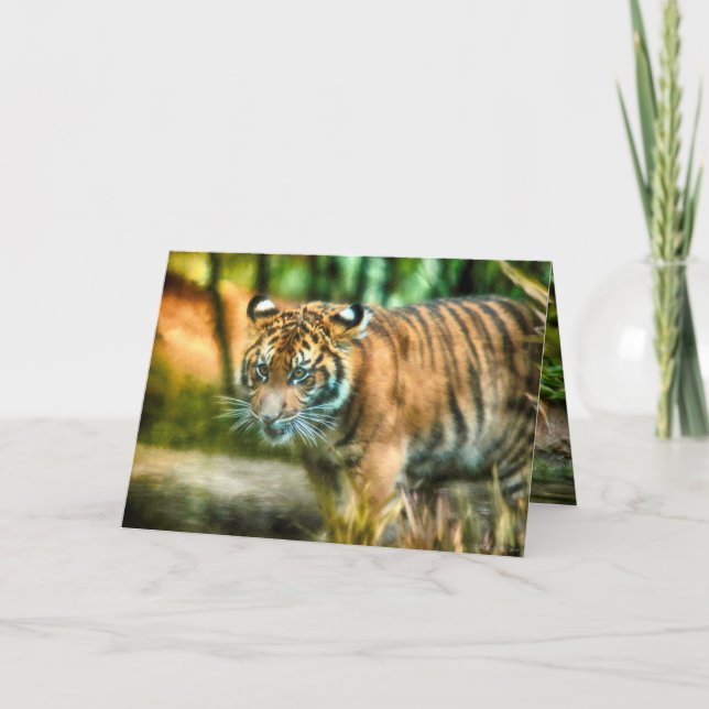 TIGER YOUTH THE NATION SUMATRA KORT (Framsida)