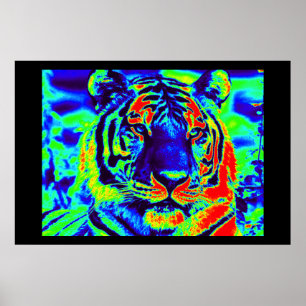 Tigerande Poster