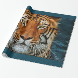 Tigeransikte Presentpapper