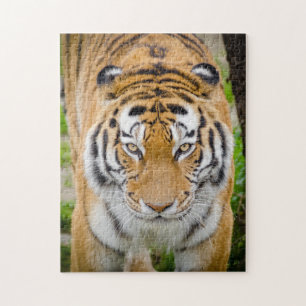 Tigeransikte Pussel