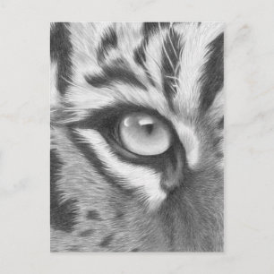 Tigerauge - Bleistiftzeichnung Vykort