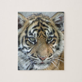 Tigerbaby Pussel