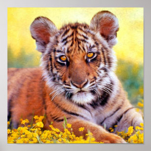 Tigerbabyunge Poster