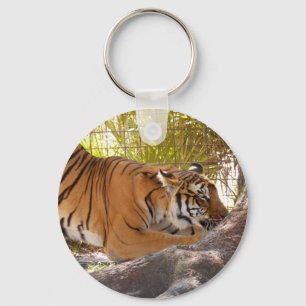 TigerBengali 001 Nyckelring