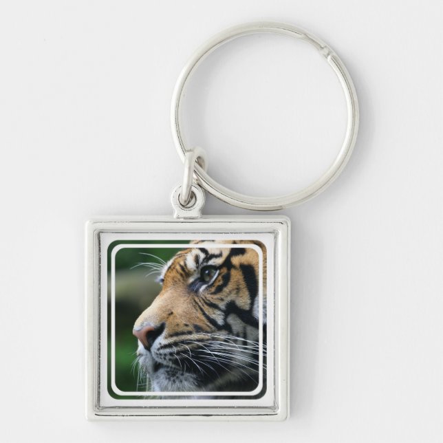 Tigerbild Keychain Fyrkantig Silverfärgad Nyckelring (Framsidan)