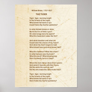 TIGERdikt av William Blake Poster