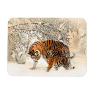 Tigerfamilj Magnet