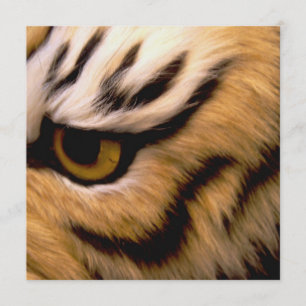 Tigerfotoinbjudan Inbjudningar
