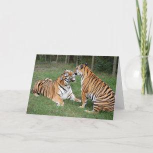 TigerFriends 007 Kort