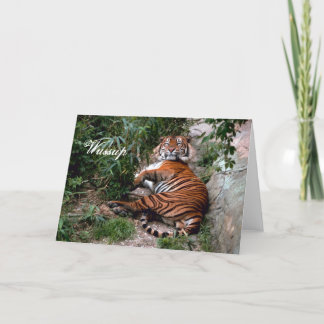 Tigerhälsningkort Kort