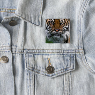 Tigerhuvud och ansikte knapp