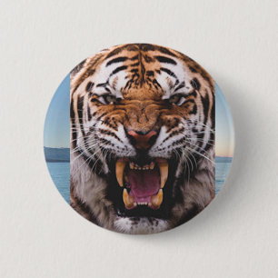 Tigerhuvudet knäppas knapp