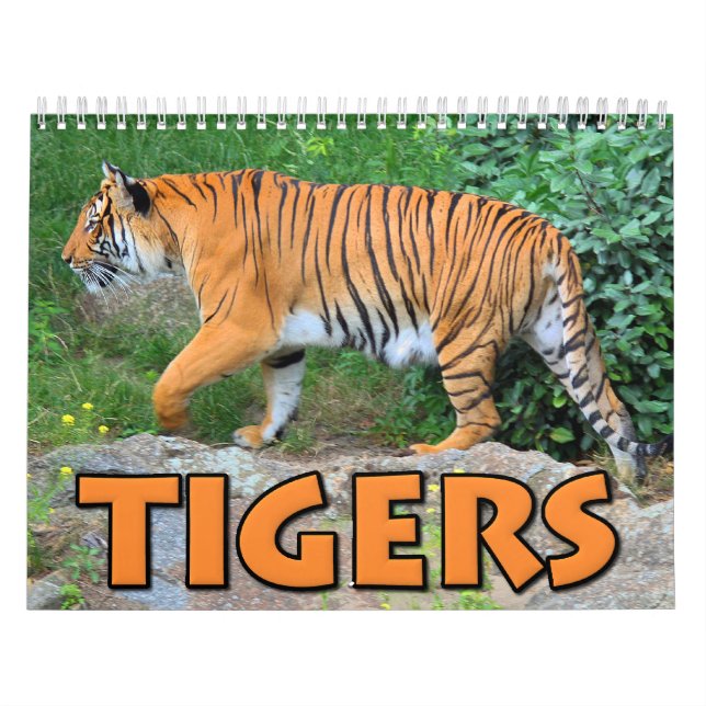 Tigerkalender Kalender (Omslag)