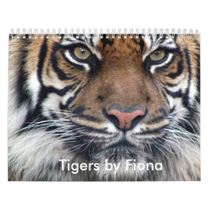 Tigerkalender Kalender